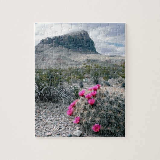 VS, Texas, Big Bend National Park. Blooming Legpuzzel (Verticaal)