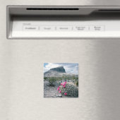 VS, Texas, Big Bend National Park. Blooming Magneet (Insitu (Vaatwasser))