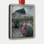 VS, Texas, Big Bend National Park. Blooming Metalen Ornament (Rechts)