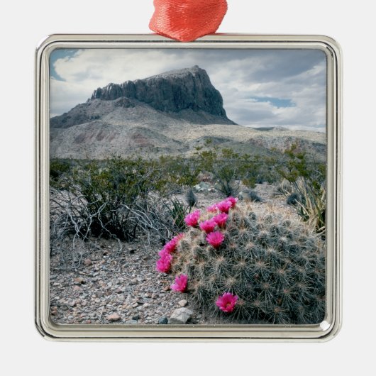 VS, Texas, Big Bend National Park. Blooming Metalen Ornament (Voorkant)