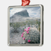 VS, Texas, Big Bend National Park. Blooming Metalen Ornament (Links)
