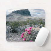 VS, Texas, Big Bend National Park. Blooming Muismat (Met muis)