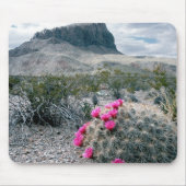 VS, Texas, Big Bend National Park. Blooming Muismat (Voorkant)