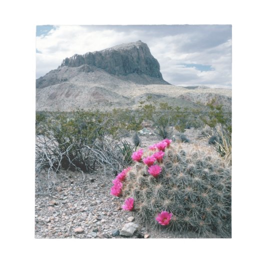VS, Texas, Big Bend National Park. Blooming Notitieblok (Voorkant)