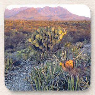 VS, Texas, Big Bend NP. Een zanderige roze schemer Drankjes Onderzetter