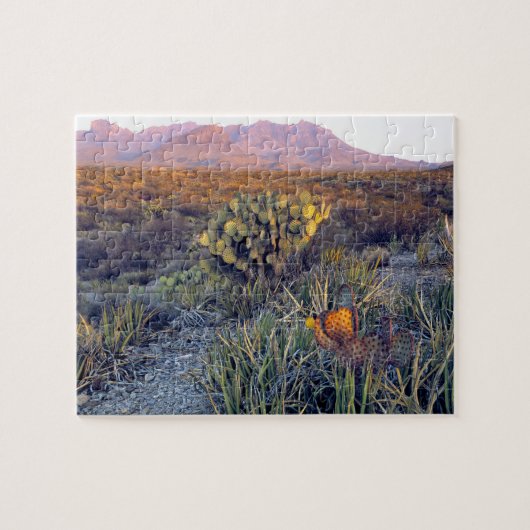 VS, Texas, Big Bend NP. Een zanderige roze schemer Legpuzzel (Horizontaal)