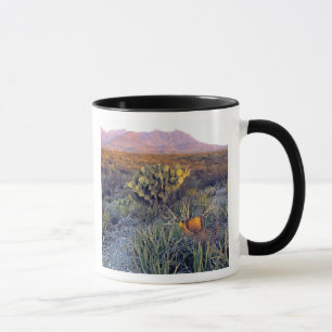 VS, Texas, Big Bend NP. Een zanderige roze schemer Mok