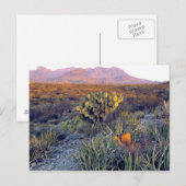 VS, Texas, Big Bend NP. Een zandroze schemering Briefkaart (Voorkant / Achterkant)