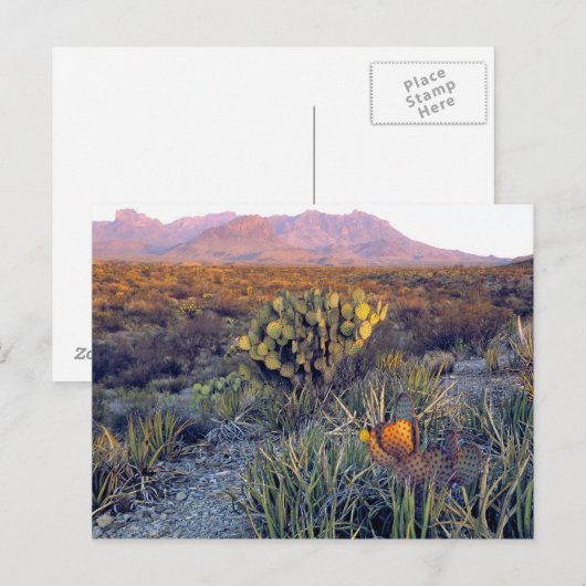 VS, Texas, Big Bend NP. Een zandroze schemering Briefkaart (Voorkant / Achterkant)
