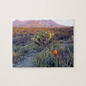 VS, Texas, Big Bend NP. Een zandroze schemering Legpuzzel (Horizontaal)