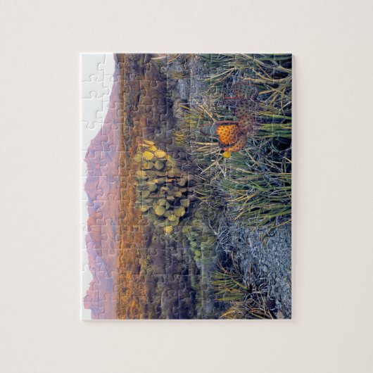 VS, Texas, Big Bend NP. Een zandroze schemering Legpuzzel (Verticaal)