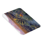 VS, Texas, Big Bend NP. Een zandroze schemering Magneet (Rechterzijde)