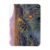 VS, Texas, Big Bend NP. Een zandroze schemering Magneet (Verticaal)