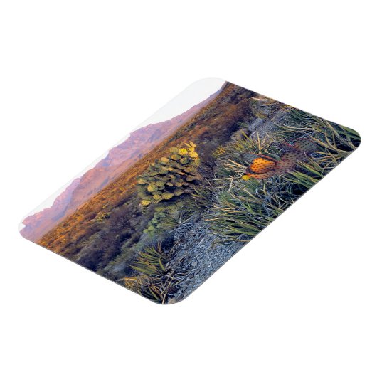 VS, Texas, Big Bend NP. Een zandroze schemering Magneet (Linkerzijde)