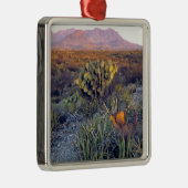 VS, Texas, Big Bend NP. Een zandroze schemering Metalen Ornament (Rechts)