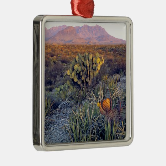 VS, Texas, Big Bend NP. Een zandroze schemering Metalen Ornament (Rechts)