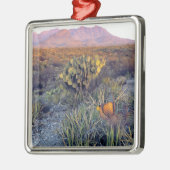 VS, Texas, Big Bend NP. Een zandroze schemering Metalen Ornament (Links)