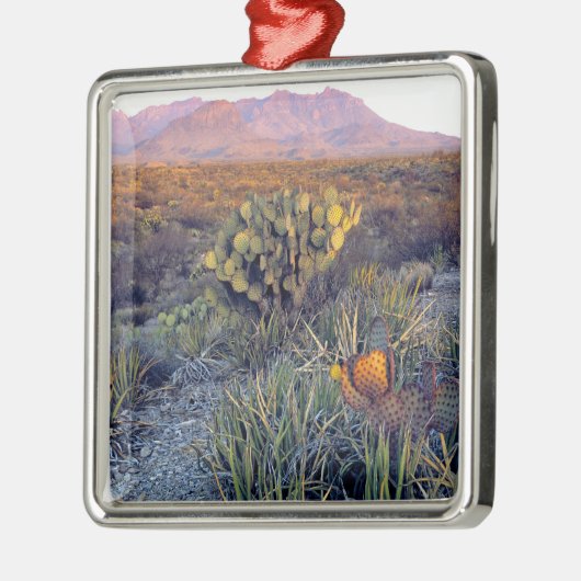 VS, Texas, Big Bend NP. Een zandroze schemering Metalen Ornament (Links)