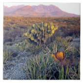 VS, Texas, Big Bend NP. Een zandroze schemering Tegeltje (Voorkant)