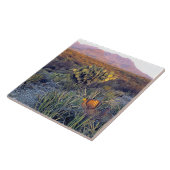 VS, Texas, Big Bend NP. Een zandroze schemering Tegeltje (Zijkant)