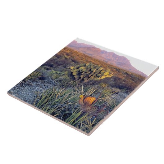 VS, Texas, Big Bend NP. Een zandroze schemering Tegeltje (Zijkant)