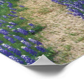 VS, Texas, bij Marble Falls, Sporen in blauwe Poster (Hoek)