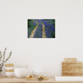 VS, Texas, bij Marble Falls, Sporen in blauwe Poster (Keuken)