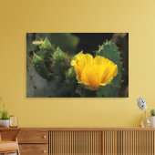 VS, Texas, bloeiende schijfcactus. Canvas Afdruk (Insitu (Woonkamer))