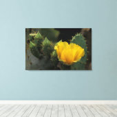 VS, Texas, bloeiende schijfcactus. Canvas Afdruk (Insitu (Houten vloer))