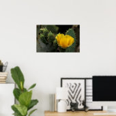 VS, Texas, bloeiende schijfcactus. Poster (Thuiskantoor)
