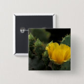VS, Texas, bloeiende schijfcactus. Vierkante Button 5,1 Cm (Voorkant /achterkant)