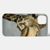 VS, Texas, Fossil Rim Wildlife Area, giraffe Case-Mate iPhone Case (Achterkant (horizontaal))