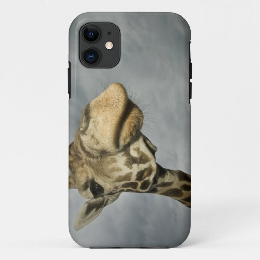 VS, Texas, Fossil Rim Wildlife Area, giraffe Case-Mate iPhone Case (Achterkant)