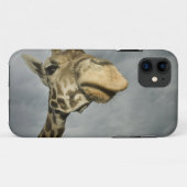VS, Texas, Fossil Rim Wildlife Area, giraffe Case-Mate iPhone Case (Achterkant (horizontaal))