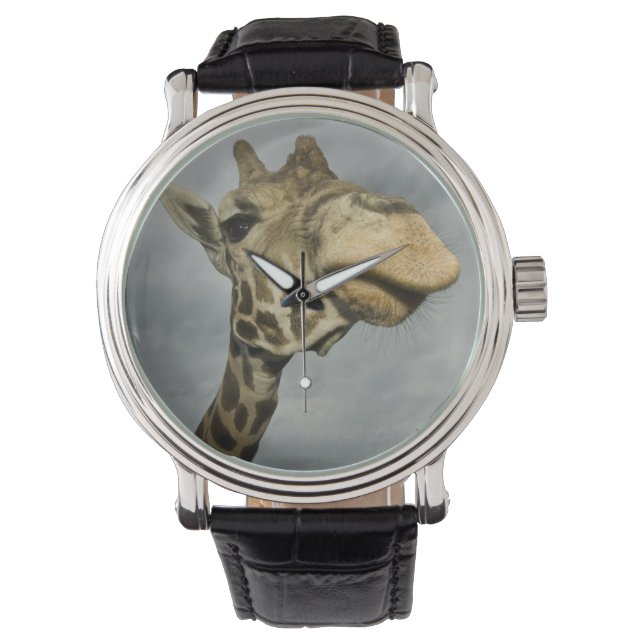 VS, Texas, Fossil Rim Wildlife Area, giraffe Horloge (Voorkant)