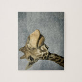 VS, Texas, Fossil Rim Wildlife Area, giraffe Legpuzzel (Verticaal)