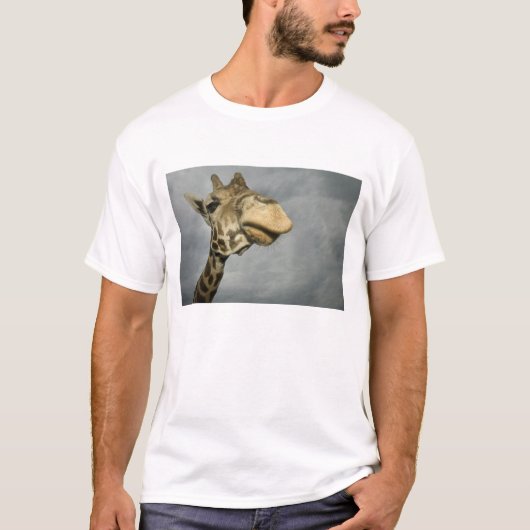 VS, Texas, Fossil Rim Wildlife Area, giraffe T-shirt (Voorkant)
