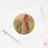 VS, Texas, Hidalgo County. Kardinaal haar Ronde Sticker (Envelop)