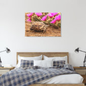 VS, Texas, Hidalgo County. Landschildpad Canvas Afdruk (Insitu (Slaapkamer))