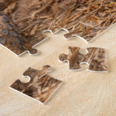 VS, Texas, Hidalgo County. Landschildpad Legpuzzel (Zijkant)