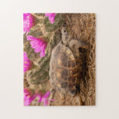 VS, Texas, Hidalgo County. Landschildpad Legpuzzel (Verticaal)