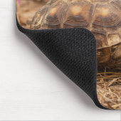 VS, Texas, Hidalgo County. Landschildpad Muismat (Hoek)