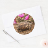 VS, Texas, Hidalgo County. Landschildpad Ronde Sticker (Envelop)