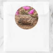 VS, Texas, Hidalgo County. Landschildpad Ronde Sticker (Tas)