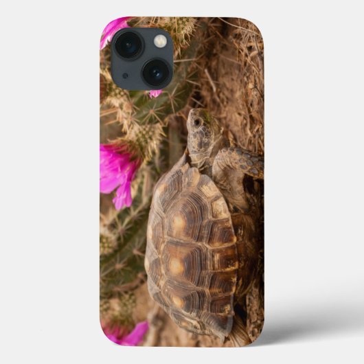 VS, Texas, Hidalgo County. Tortoise Case-Mate iPhone Case (Achterkant)