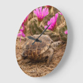 VS, Texas, Hidalgo County. Tortoise Grote Klok (Hoek)