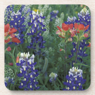 VS, Texas Hill Country. Blauwbijen en blauwvintoni Bier Onderzetter