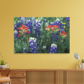 VS, Texas Hill Country. Blauwbijen en blauwvintoni Canvas Afdruk (Insitu (Woonkamer))