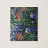 VS, Texas Hill Country. Blauwbijen en blauwvintoni Legpuzzel (Verticaal)