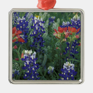 VS, Texas Hill Country. Blauwbijen en blauwvintoni Metalen Ornament